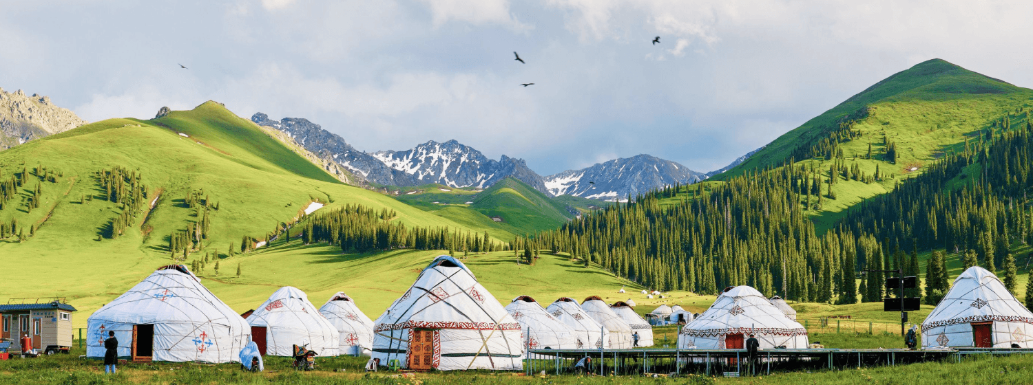 Mongolia cover