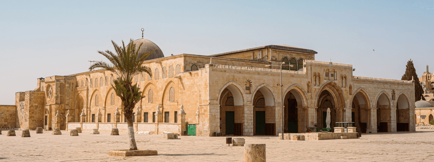 Palestine cover