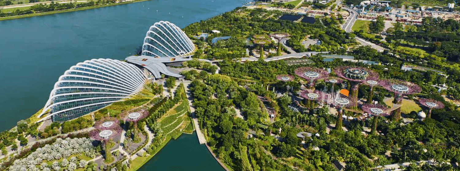 Singapore cover