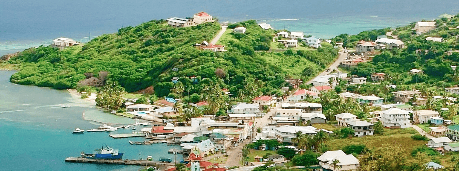 Saint Vincent and the Grenadines cover